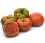 KÖY DOMATESİ